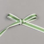 Garden Green 3/8” Double-Stitched Ribbon #150434 $7.00