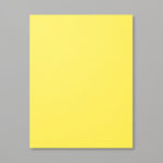 Pineapple Punch Cardstock #146971 $8.75