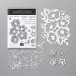 Blossoms in Blooms Bundle #154123 $60.25