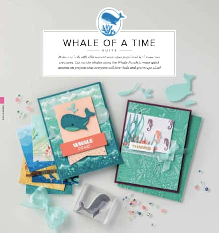 Whale Of A Time feature-1