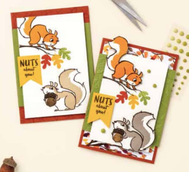 Nuts for Squirrels-2